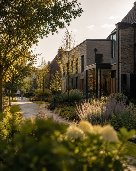 A tree-lined street with landscaped planting outside new homes